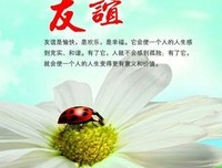孤独是灵魂的必修课读后感精选