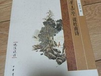 叶嘉莹说杜甫诗读后感1000字