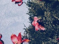 心恋名句欣赏