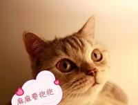 《《伸出手，抱一抱还在努力的自己》》的句子