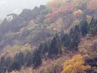 关于缘来是你的优美句子