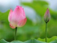 禅语