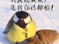 有关专属于你的句子
