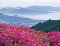 对你说的小情子而作句子大全