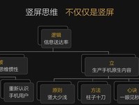 《竖屏思维：大幅度提升手机端转化率的逻辑和方法》读