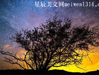 昨夜星辰的句子