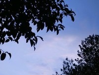 《告别高中的夏天》影评摘抄