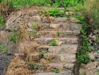 上海堡垒句子