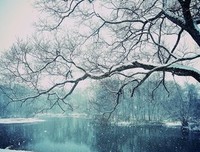 雪落在灞桥的土地上