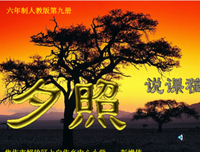 美景优美的句子