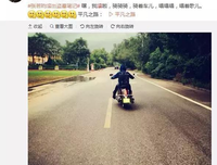 关于关于俳句的优美句子