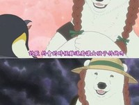 北极熊名言大全