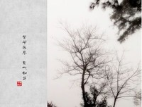 最经典的《繁华落尽，素心不改》语录摘抄