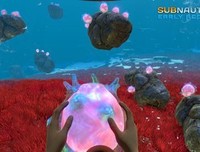 最新的《深海带再过的星星》语录摘抄大全