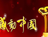 《森林之门》的观后感大全