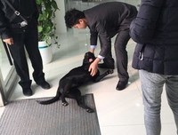 《意外在场》经典影评1000字