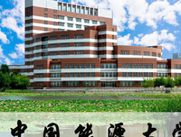 《中国期待一个怎样的未来》读后感100字