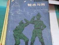 城市与狗读后感摘抄