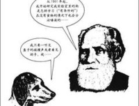 《当情绪遇见心智》读后感锦集