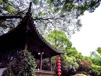 灯火辉煌的名言_关于灯火辉煌的名言