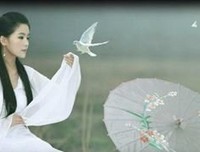 有关逆水行舟的美文美句摘抄