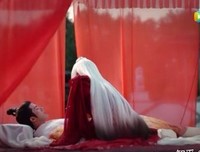 杀母的文化读后感锦集