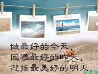 随缘优美的句子