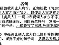 有关露之风国七的名言名句