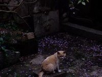 最全的《未来的道物每事校》经典的句子大全