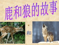 缝不起来的童年的读后感大全