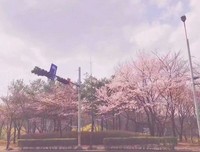 关于隔岸观火的名句摘抄