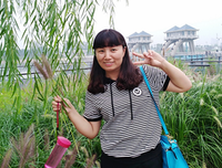 关于能说会道的格言