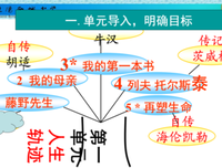 有关朝花集的句子