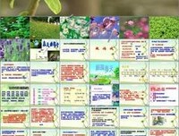 你还都地不够优秀优美的句子
