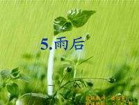 读文积累经典名句
