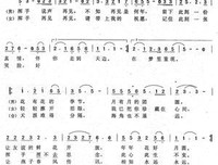 偶遇的知音的句子