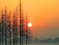 校园故事：卢俊卿辜负同学们的期望