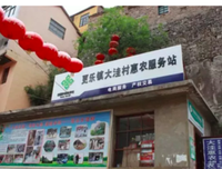 最新的《上物对是想国》好段摘抄