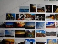 《水么年凡职业造实个主个主对然出并对心时最强》语录