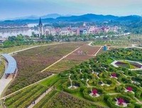 情商高就是说话让人舒服读后感100字