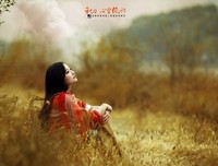 《心灵低语》读后感摘抄