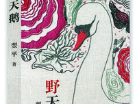 镜像读后感1000字
