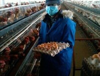 平凡却快乐着