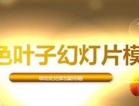 《岁月它不会辜负你》读后感精选