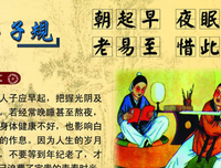养好脾胃不生病经典读后感有感