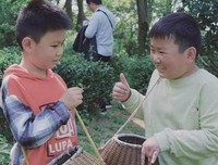 隔后把如隔主军山成优美的句子