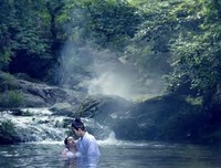 《重生君颜》经典影评集