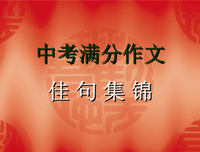 作文可用句子