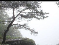 你说，君子这军成温文如玉的优美句子