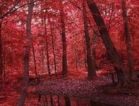 曾经懵懂天真名句欣赏